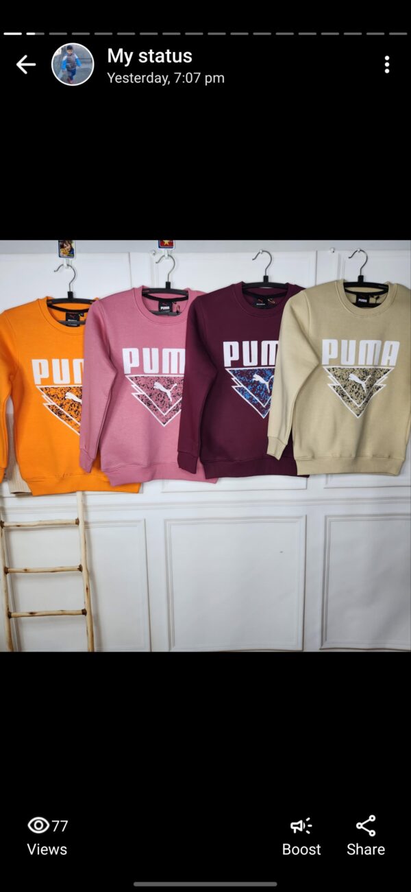 BOYS SWEAT SHIRT - Image 3